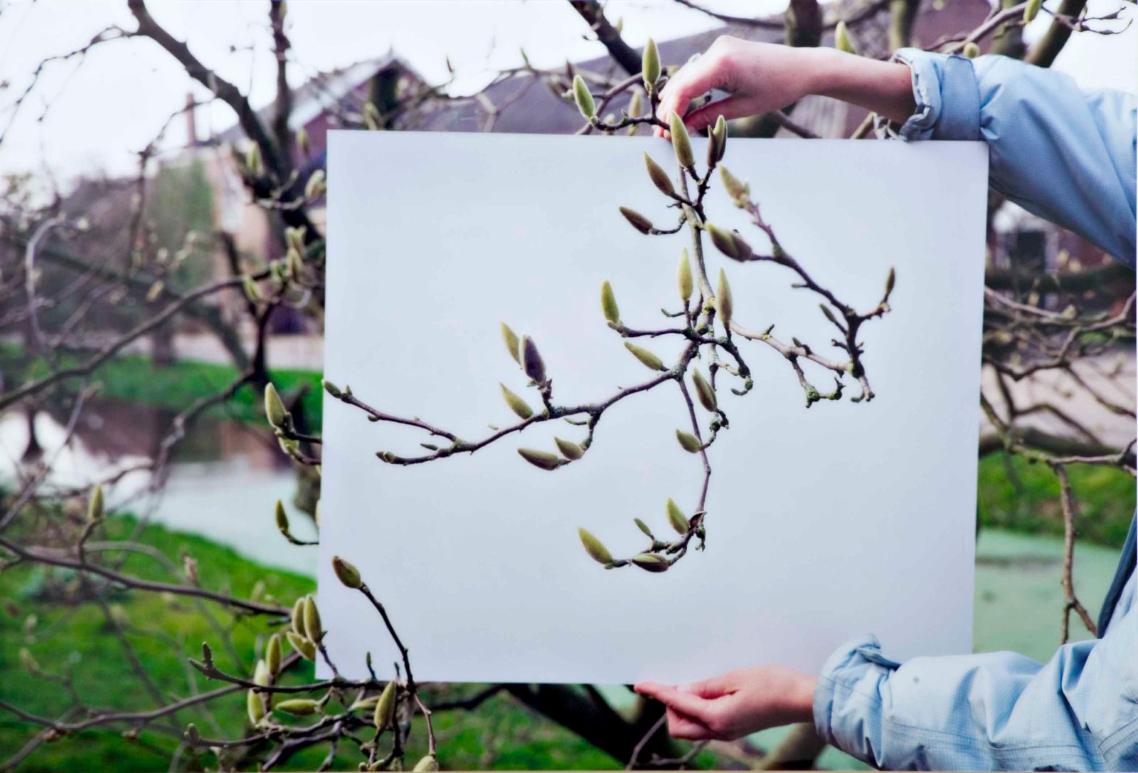 Soon, 2002, c-print on di-bond, perspex, 120 x 178 cm