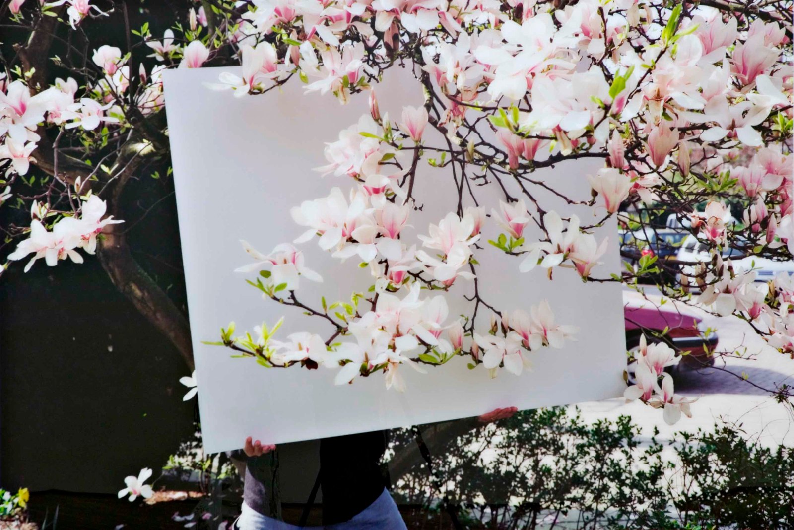 Now, 2002, C-print on di-bond, perspex, 120 x 178 cm