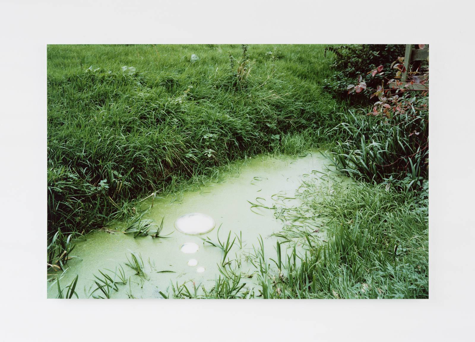 In thought, 2002, colour photo on di-bond, perspex, 120 x x 178 cm