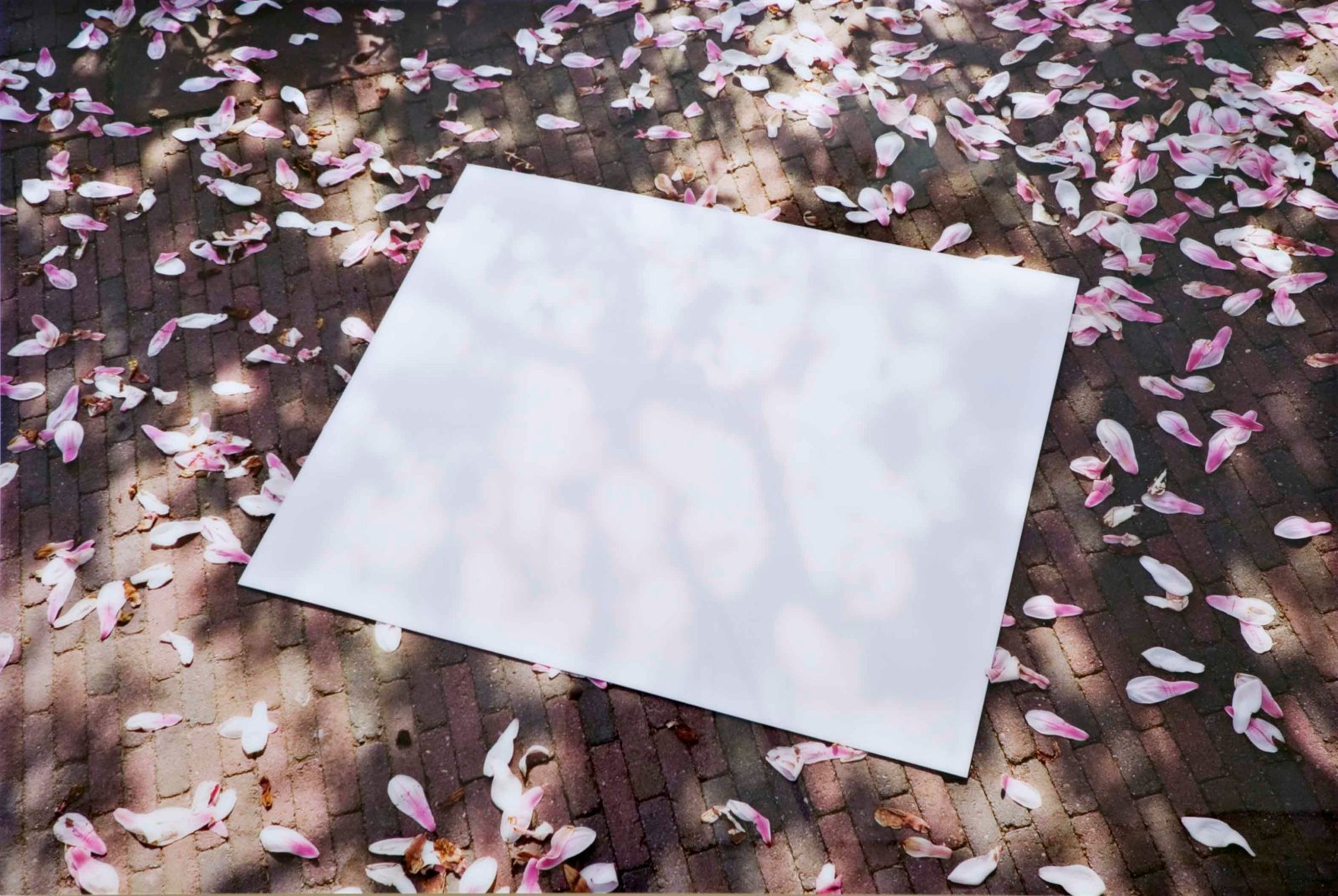 Coming up soon, 2002, C-print on di-bond, perspex, 120 x 178 cm