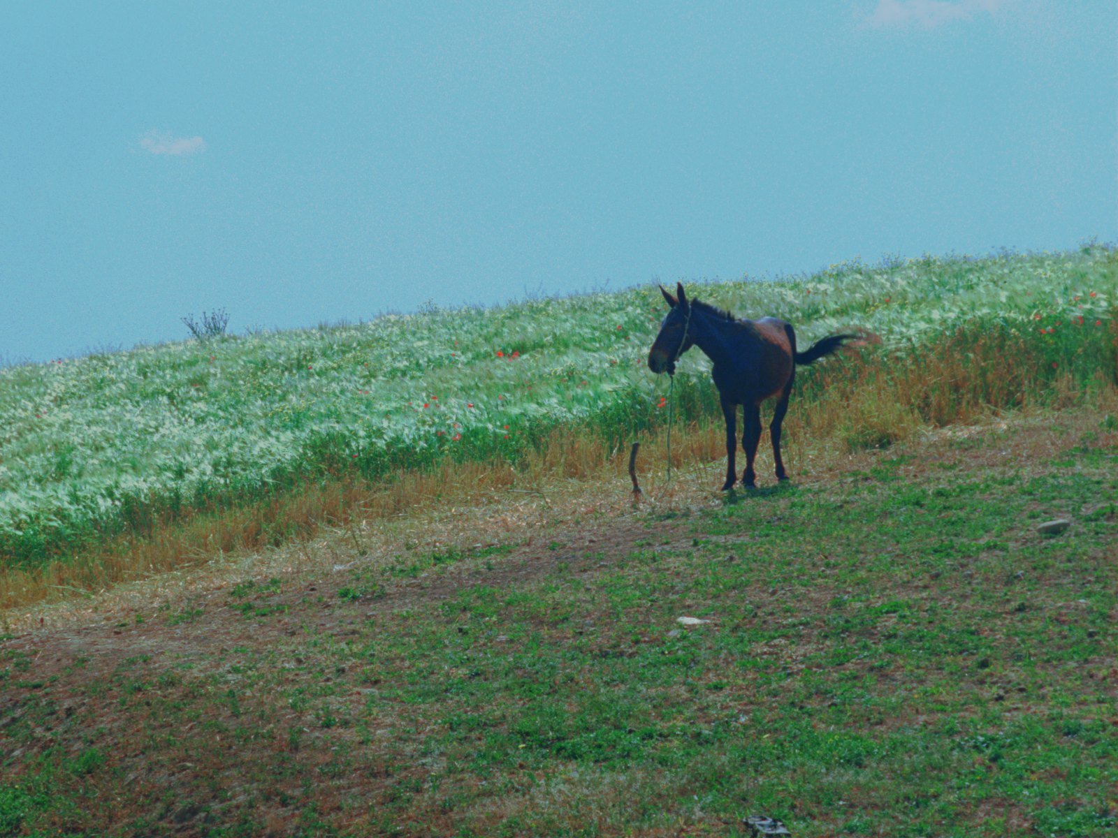 Still from Wave, 2006, 35 mm film loop, colour, 3'05", 300 x 400 cm