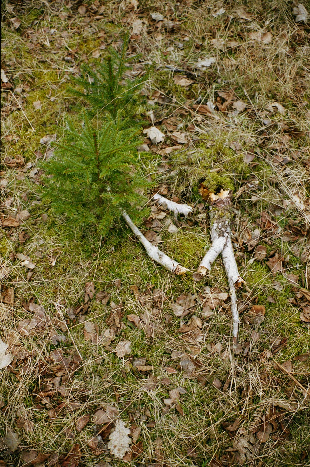 UT, 2008, c-print, 59 x 39 cm