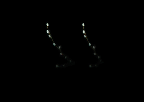 Dan Wolgers
De Profundis III (videung), 2013
Giclée print
29,7 x 42 cm