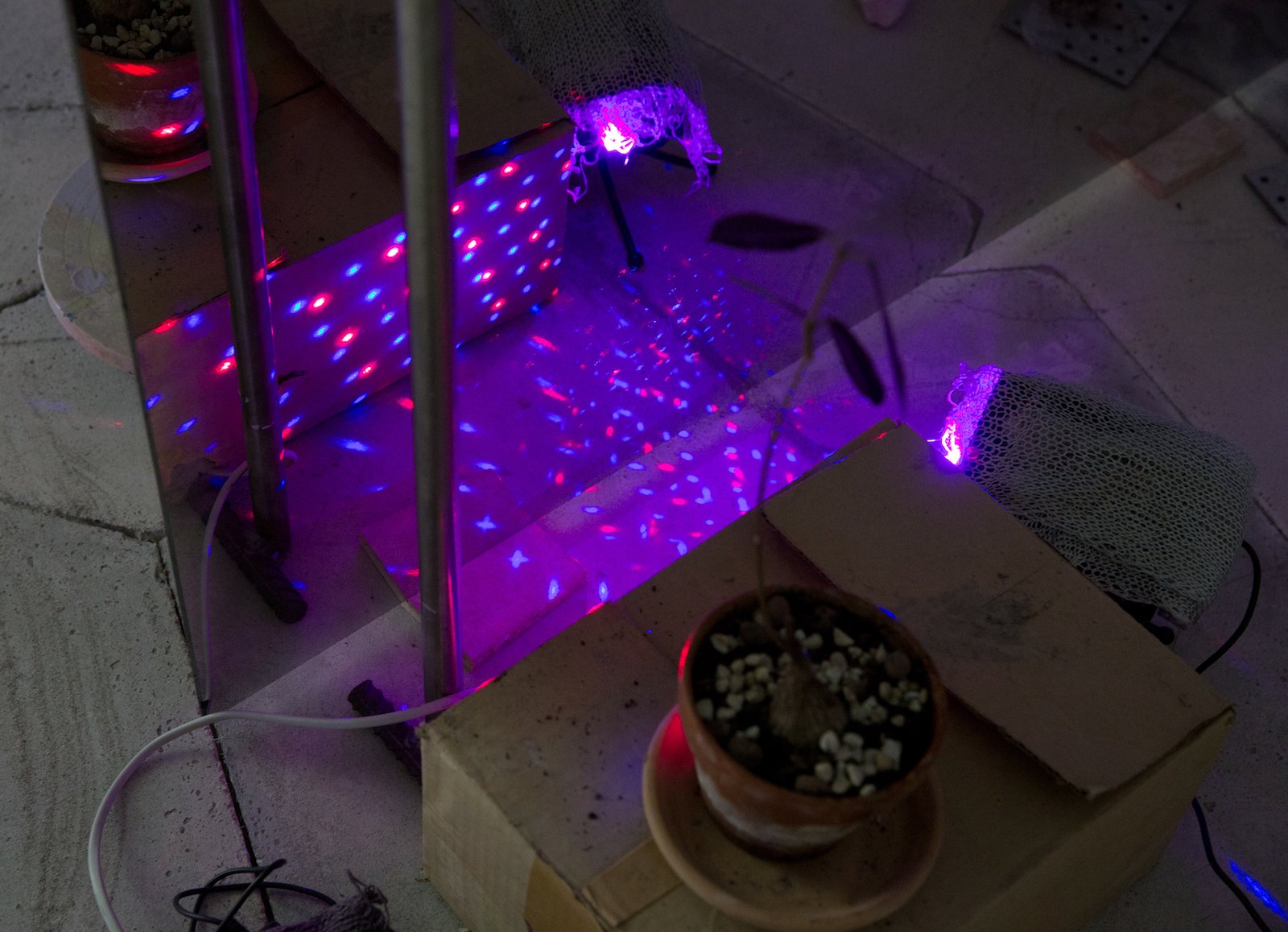 Endless promises, 2014, detail