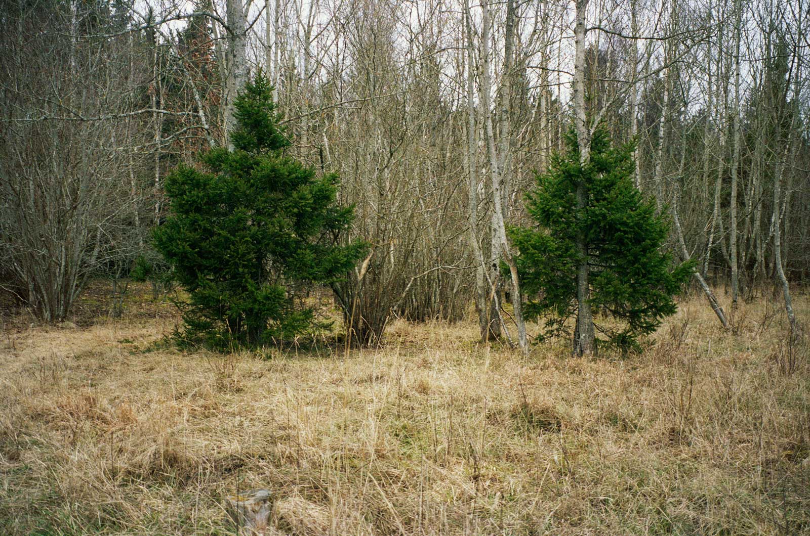 UT, 2008, C-print, 59 x 89.5 cm