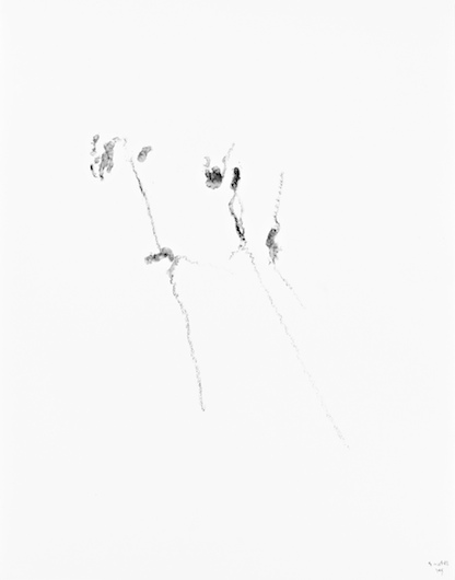 Untitled, 2014, crayon on paper, 27,7 x 21,5 cm