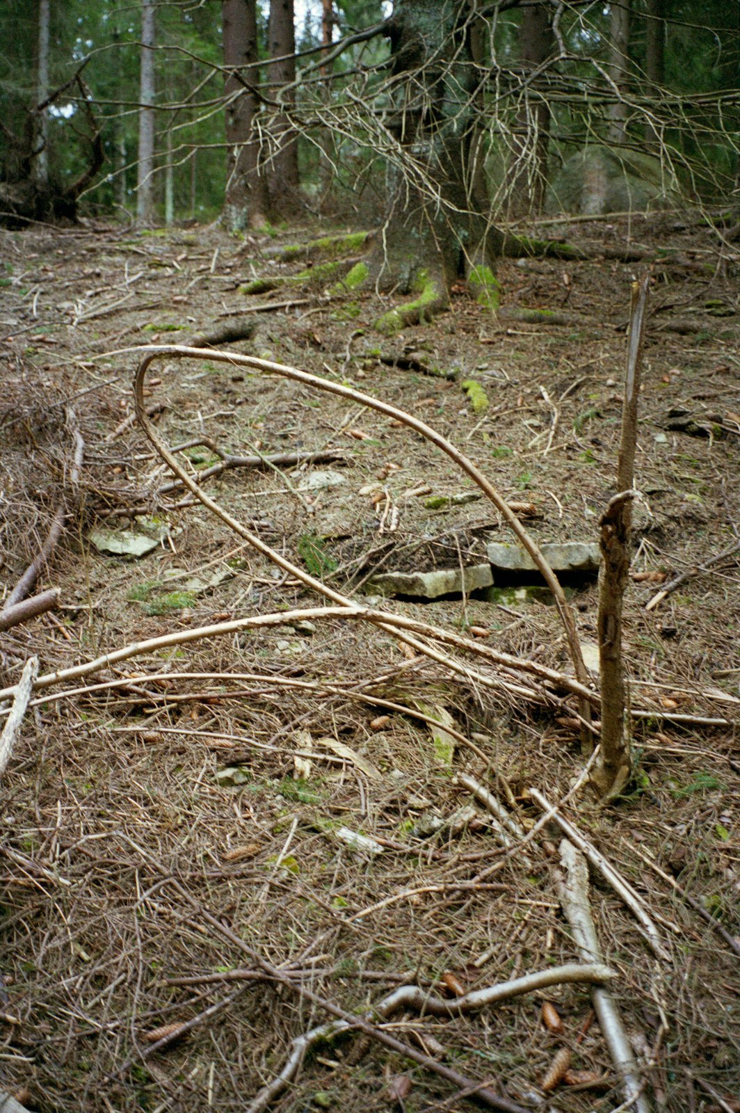 Omtagning, 2008, C-print, 59 x 39 cm