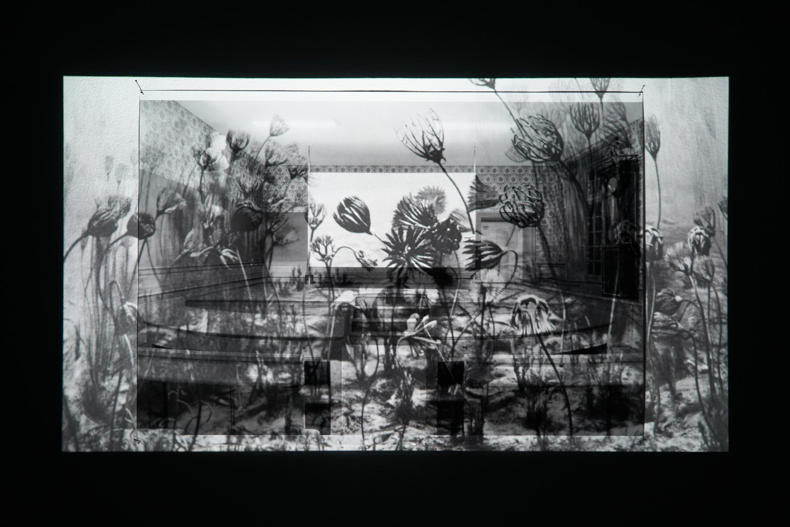 Lina Selander, Anteckningar till en film om naturen, 2015-2016, Hd-video 9:45 min, podium and lambdaprint 70 x 100 cm, ed. 3 + 2 AP