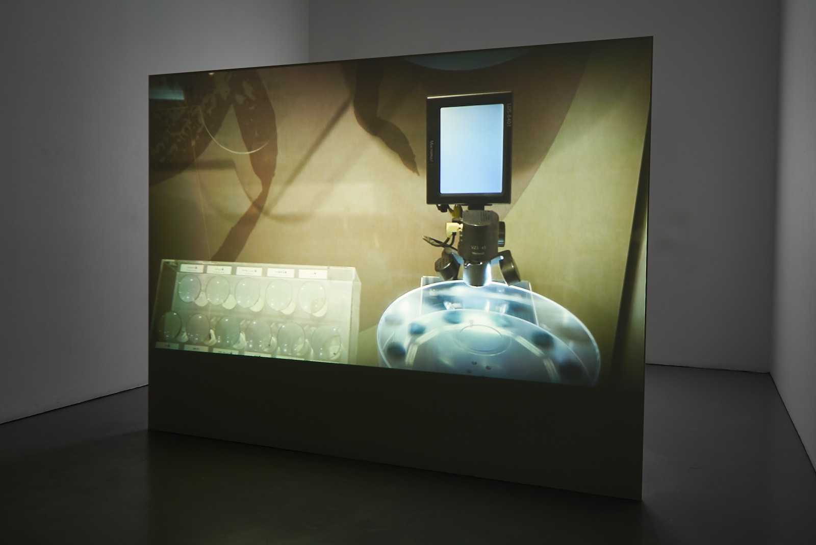 Lina Selander, Model of Continuation, 2013, Hd-video 24:31 min, ed. 5 + 2 AP