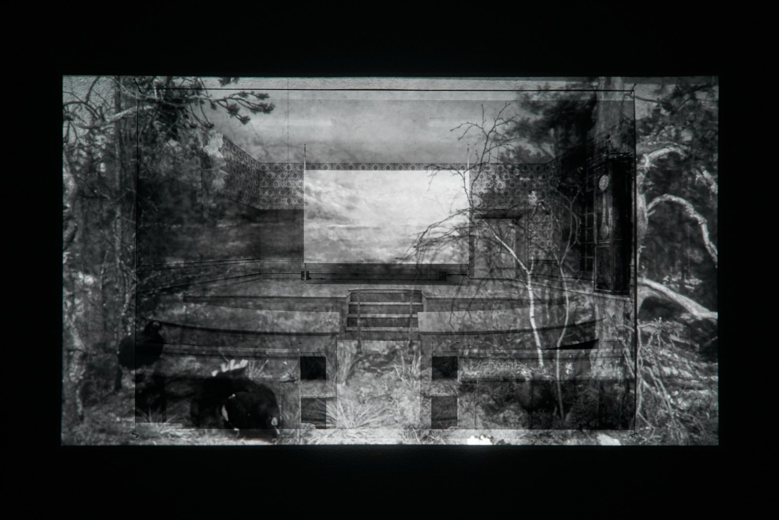 Lina Selander, Anteckningar till en film om naturen, 2015-2016, Hd-video 9:45 min, podium and lambdaprint 70 x 100 cm, ed. 3 + 2 AP