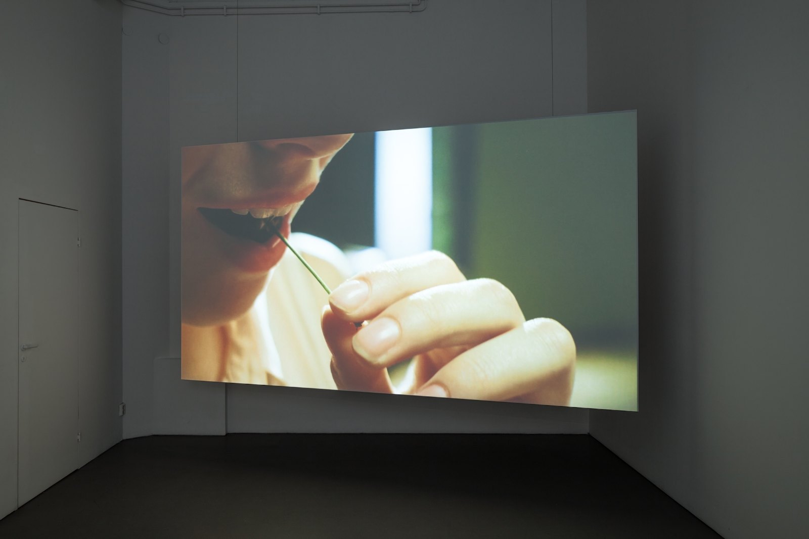 Kersentijd (Cherry season), 2012, 35mm film loop, 2'25'', digitally projected. Installation view Marijke van Warmerdam, Open, Galleri Riis, Stockholm, 2013