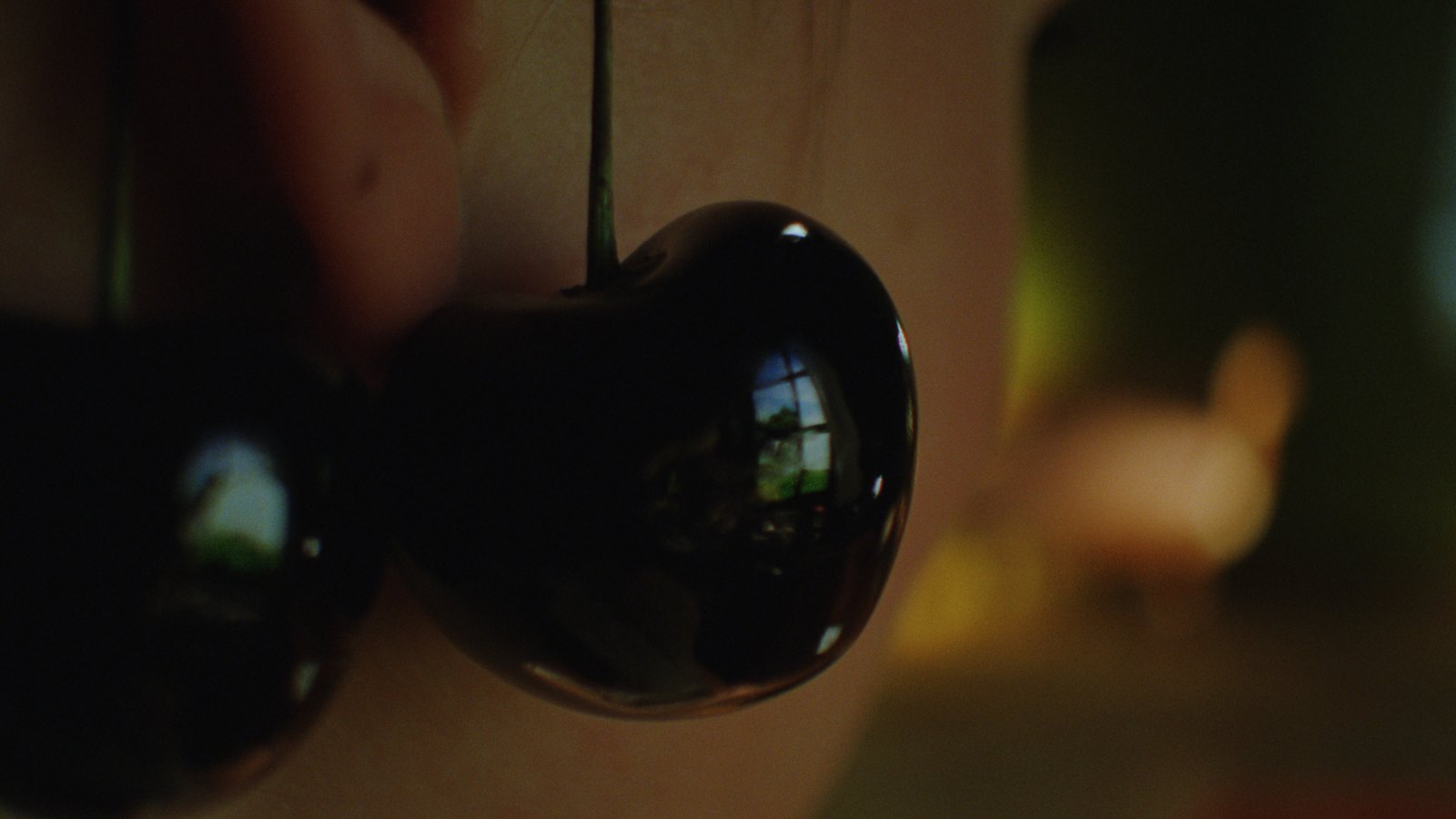 Still from Kersentijd (Cherry season), 2012, 35mm film loop, 2'25'', digitally projected