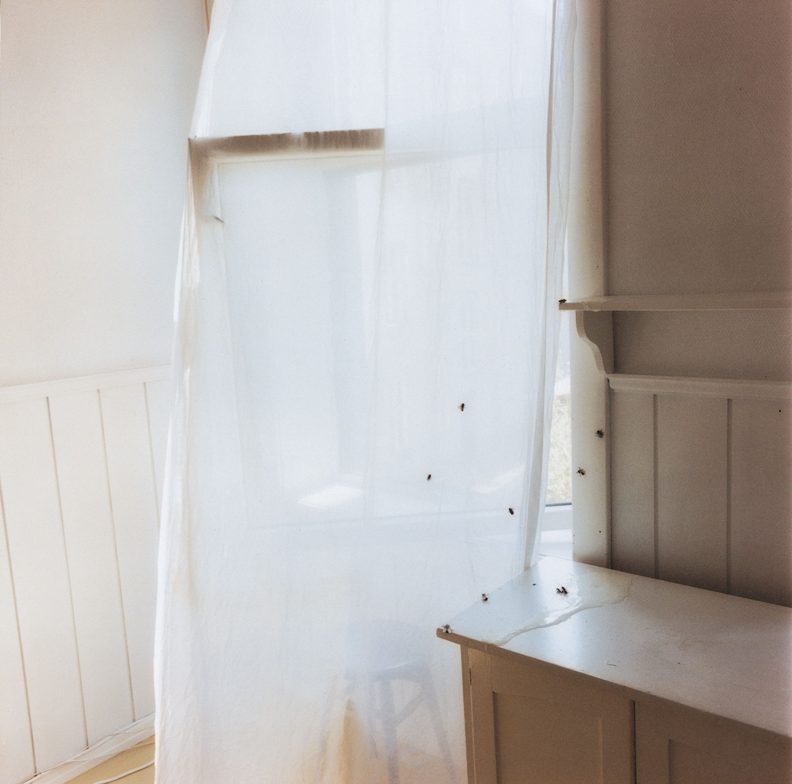 Signe Marie Andersen, Jens Bjelkesgt. Oslo, 1 feb 2005 kl 12, 2005, C-print on PS, 120 x 120 cm