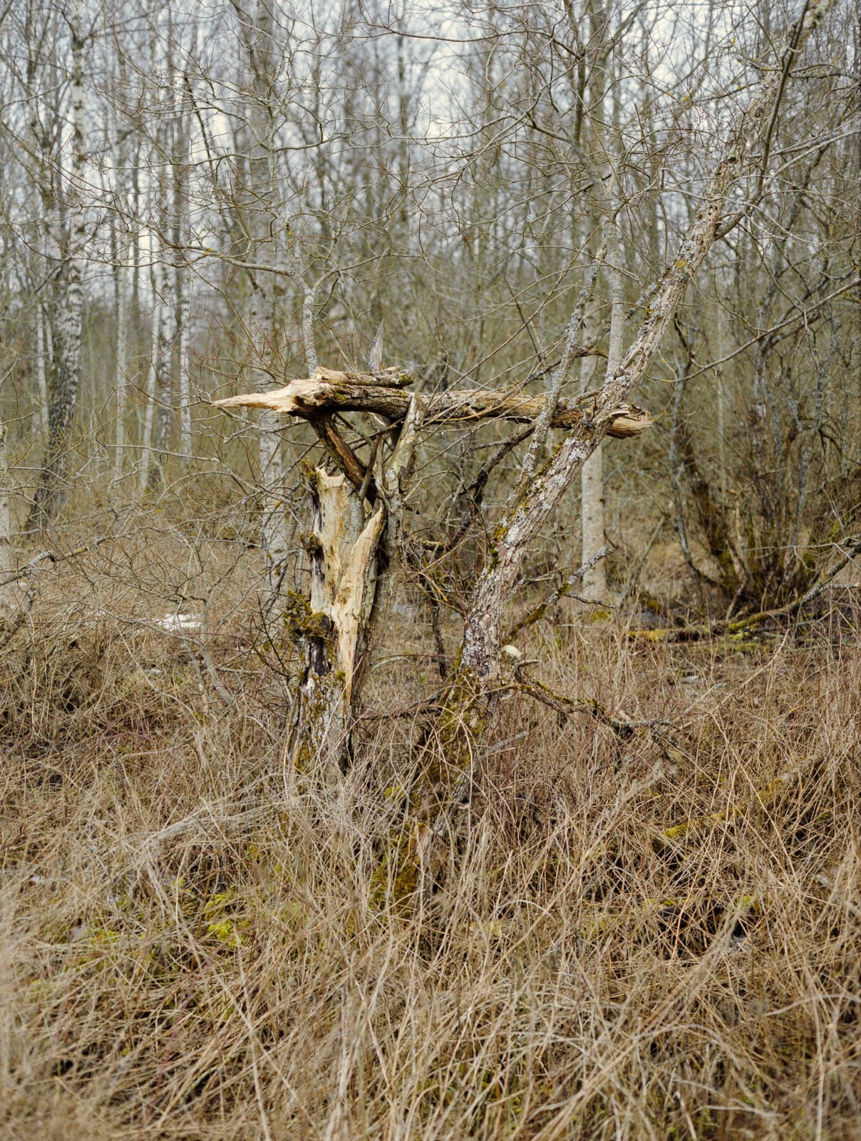 Rest, 2008, c-print, 59 x 44.5 cm