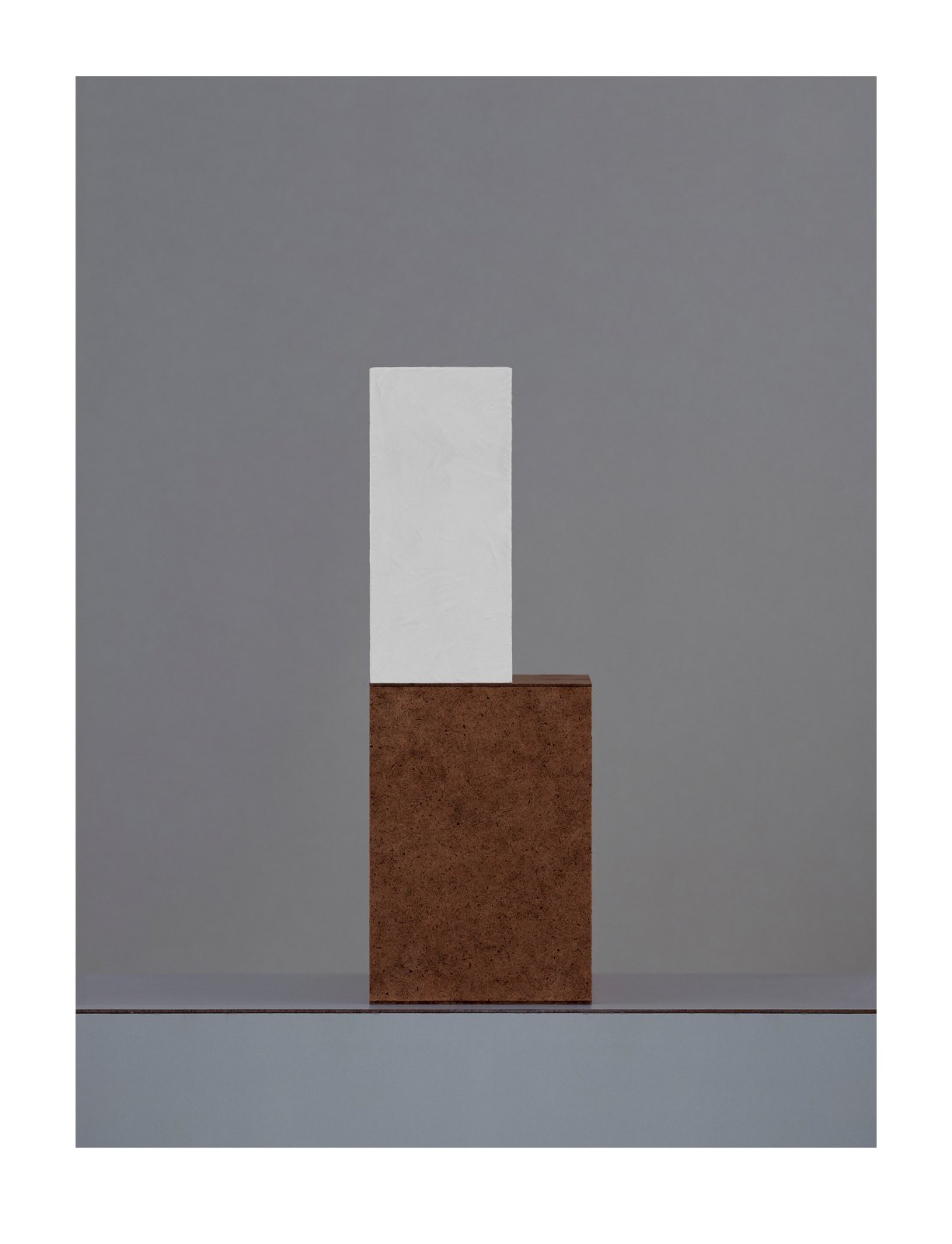 Austiére I, 2012, giclée print on Wandflies on aluminium, 83 x 63 cm