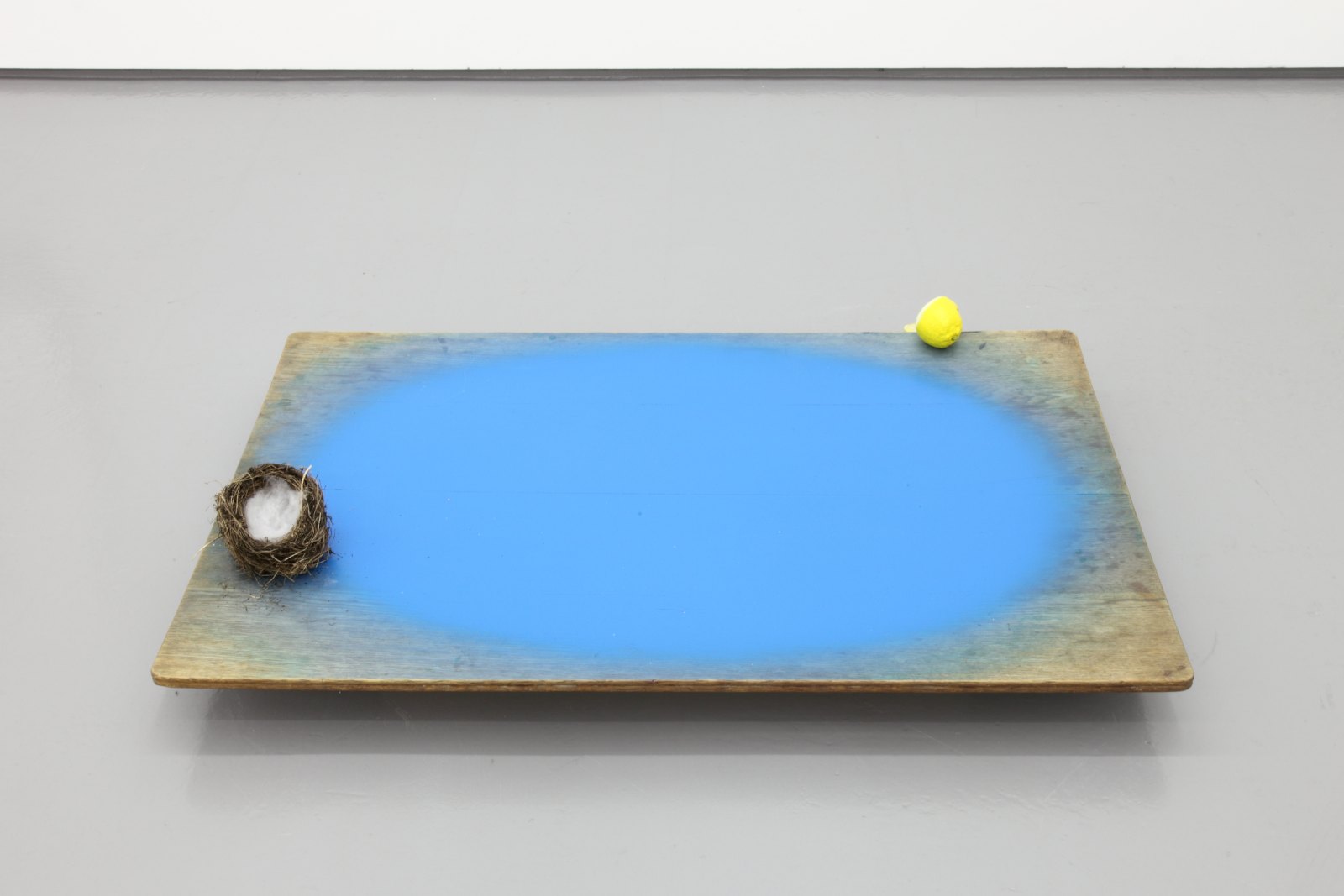 Marijke van Warmerdam, Safe and Sour, 2004, mixed media, 20 x 120 x 117 cm