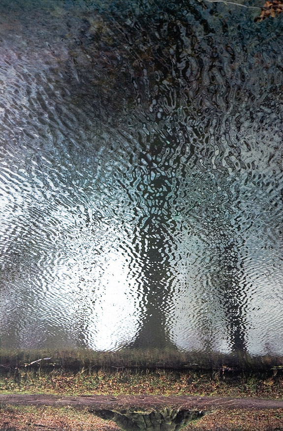 Marijke van Warmerdam, Tree 1, 2008, Screen print on plastic mirror, di-bond, 149.5 x 99 cm