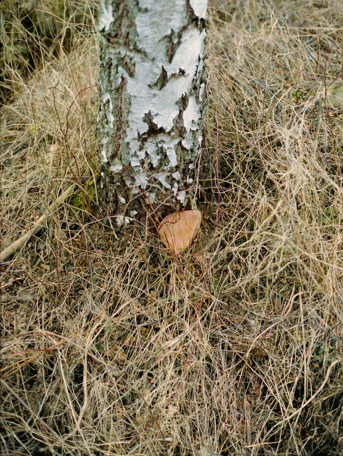 Sten, 2008, C-print, 59 x 44.5 cm