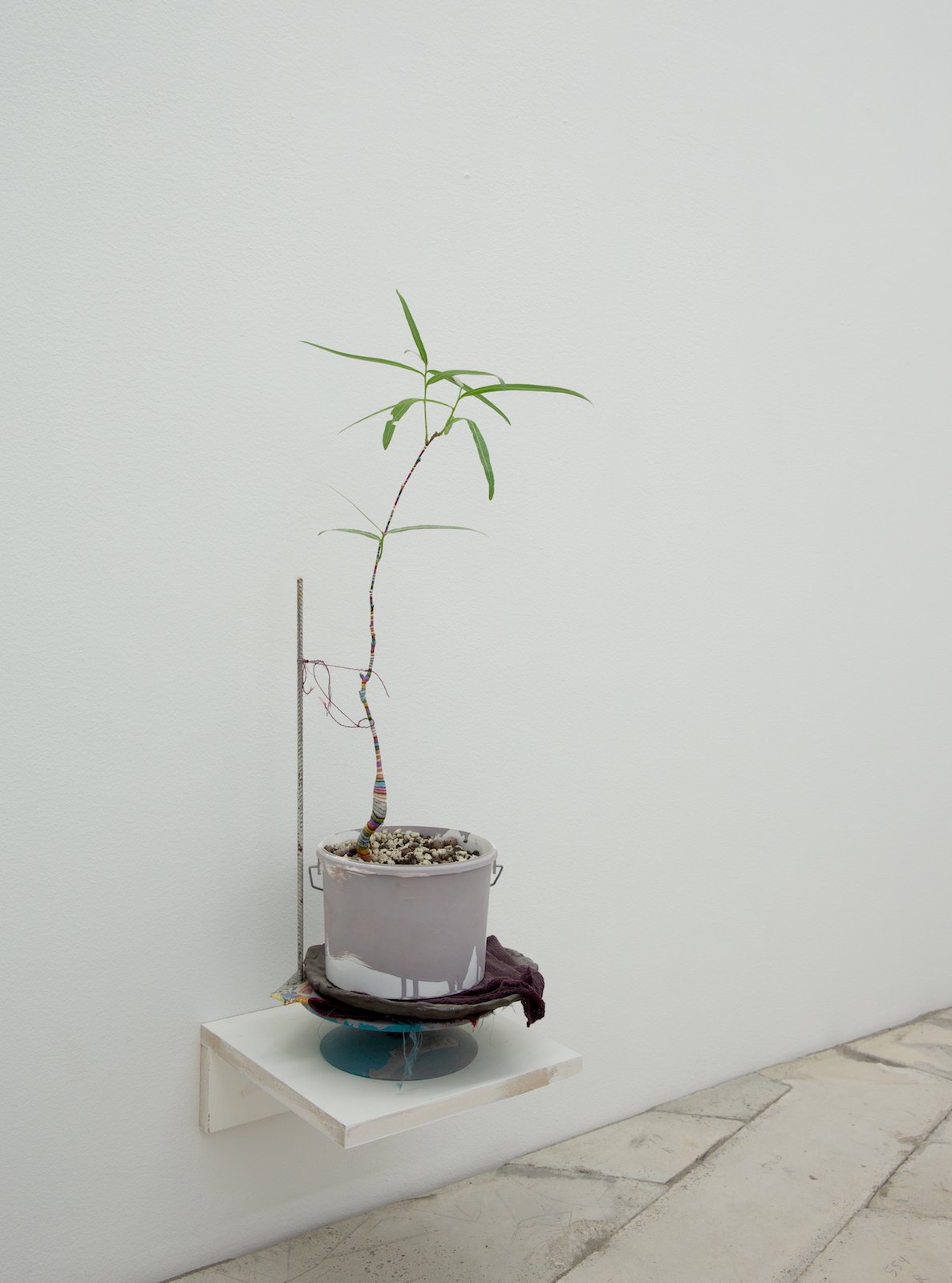 Paolo Ucello (mimicry), 2014, painted brachychiton plant, ceramic, painted plastc bucket, knitting, mdf-shelf, modelling stand, 90 x 30 x 30 cm