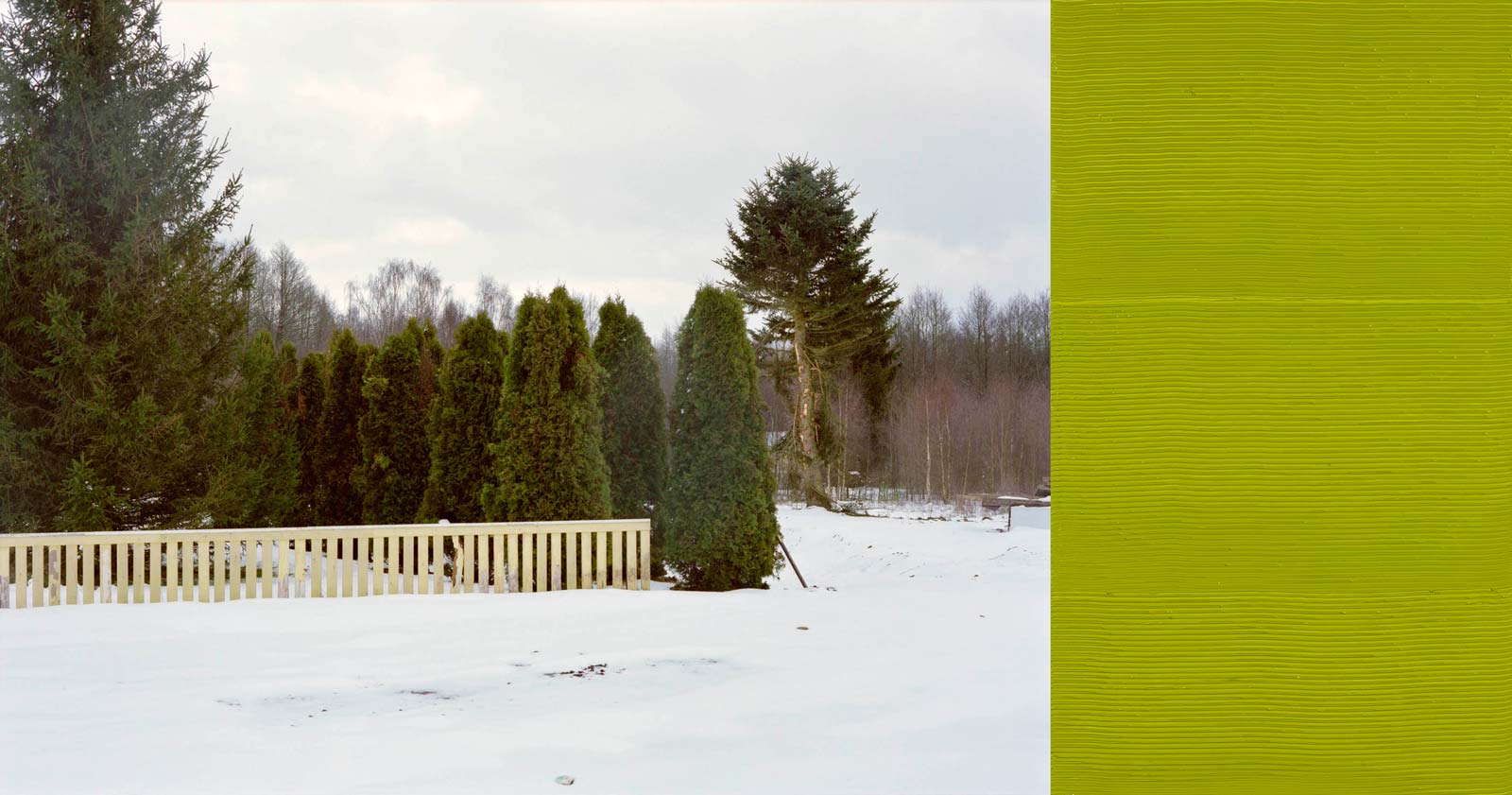 Scen och monokrom grön, 2008, oil on aluminum, C-print, 59 x 113 cm	(2 parts)