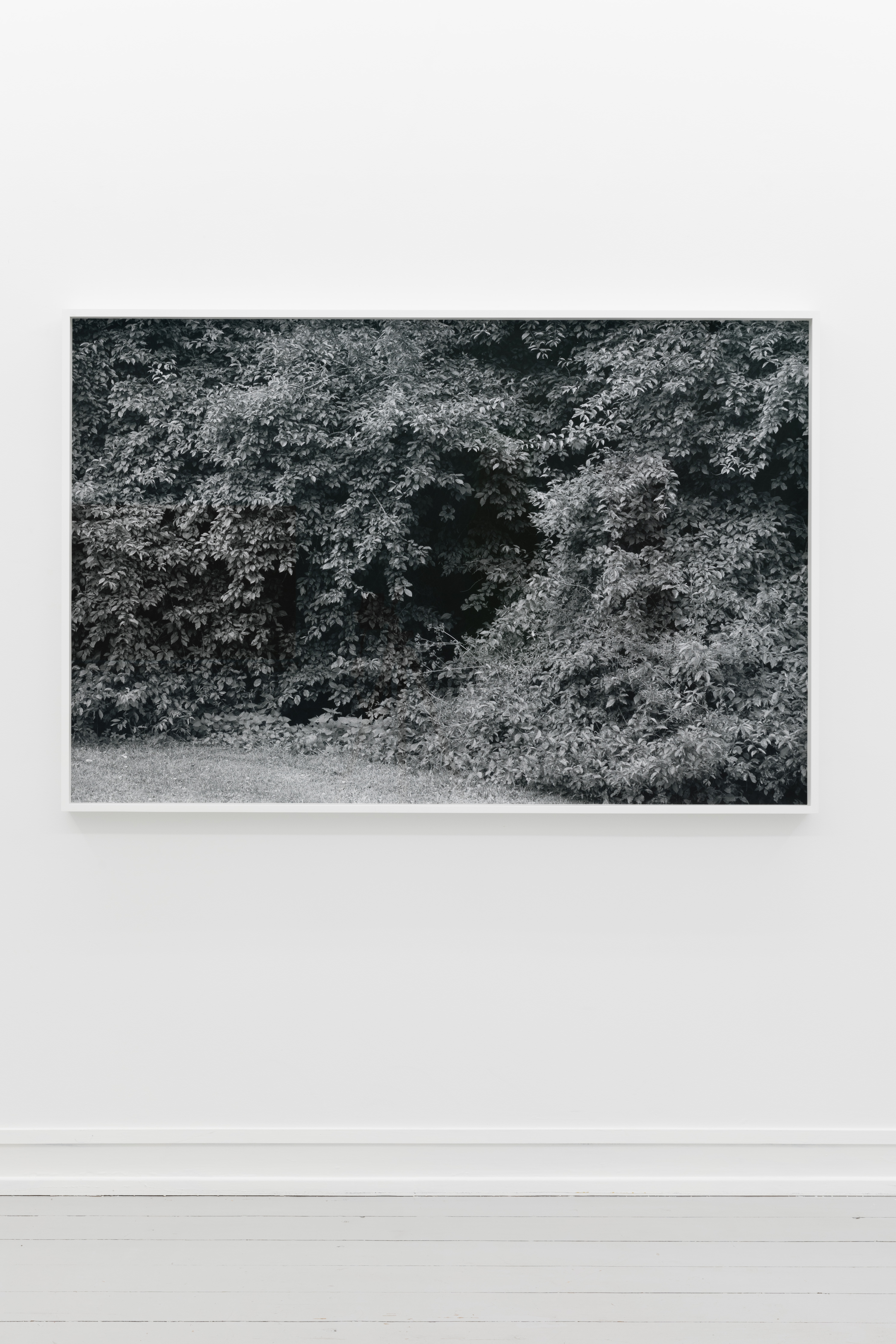 Morten Andenæs, The Perimeter, 2018, Archival inkjet print mounted on aluminum, 99 x 150 cm, Edition 5 + AP