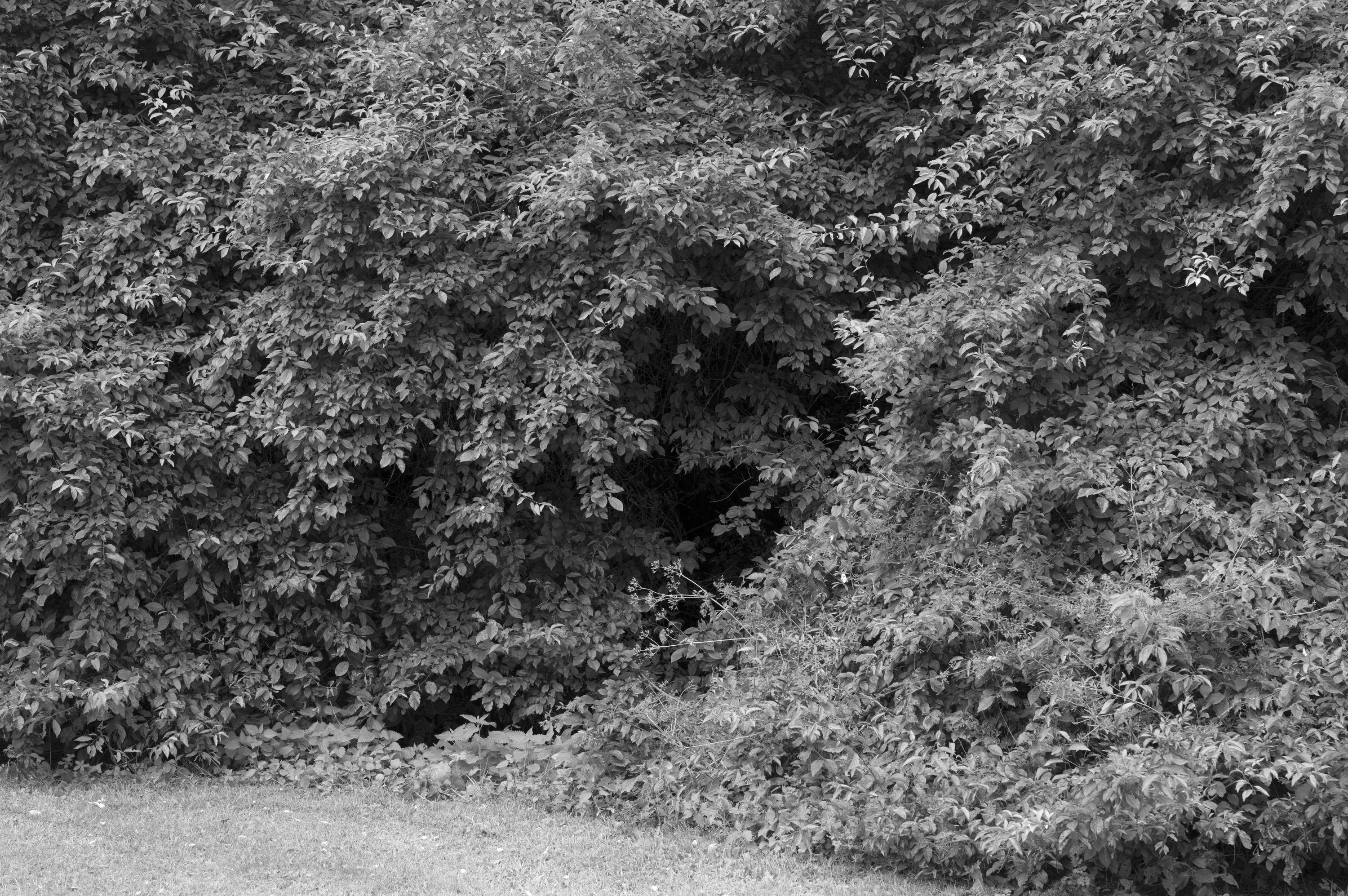 Morten Andenæs, The Perimeter, 2018, Archival inkjet print mounted on aluminum, 99 x 150 cm, Edition 5 + AP