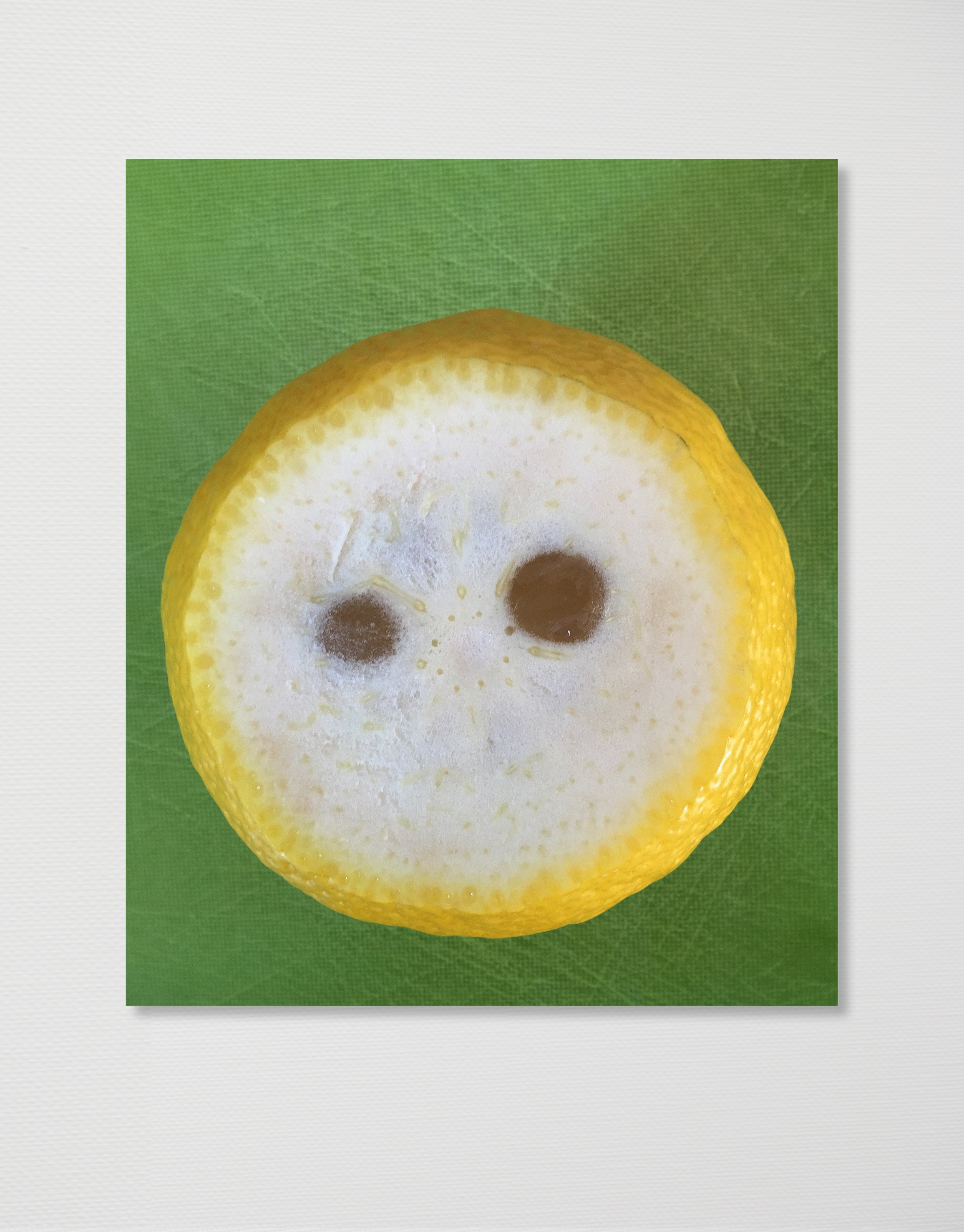 Sourpuss, 2016,  C-print mounted on dibond, 100 x 84 cm